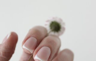 Galerie – French Manicure French Manicure, Hand hält eine kleine Blüte